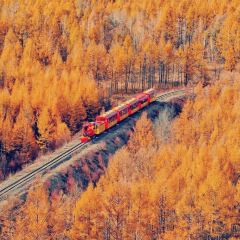 粘豆包铁锅炖(温泉街店) User Photo