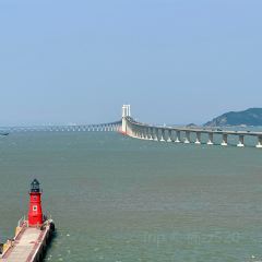 官塘弟少坚牛肉火锅 User Photo