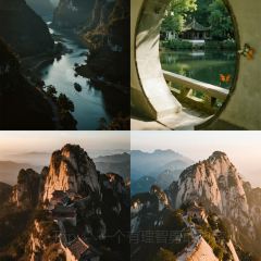 飞茑集樢咖啡 User Photo