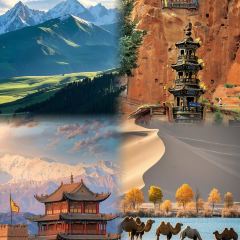 刘红杏·杏皮水店 User Photo