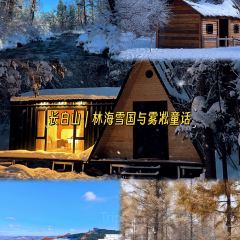 老炳·七叢松甘草水果張用戶圖片