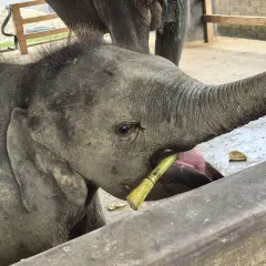 一尺稻田咖啡 User Photo