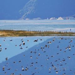 Kamba Nomadic Cafe User Photo