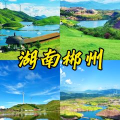 愛尚菌·野生菌火鍋（南屏街百年飛虎樓店）張用戶圖片