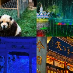 WEIDAOJIA MAMACAI User Photo