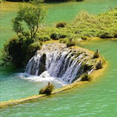 Zhan yi gong shi la zi Chicken (zhan yi) 여행 사진