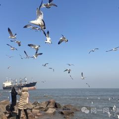 海鮮大咖（杏林西區店）張用戶圖片