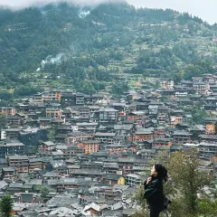 猪圈咖啡屋 User Photo