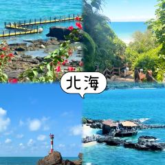 Shunji Traditional Cold Noodles User Photo