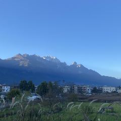 Kuiran Snow Mountain Treehouse Coffee User Photo