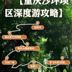 Tang shi lao wan zhou Grilled Fish (zong) User Photo