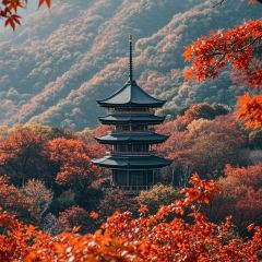 WEIDAOJIA MAMACAI User Photo