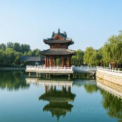 WEIDAOJIA MAMACAI 여행 사진