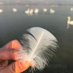 运城果果假日酒店·餐厅 User Photo