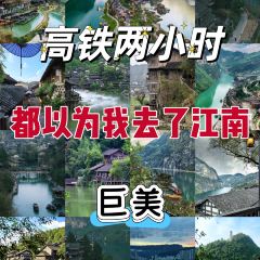 罗记酸汤鱼(凤凰路店) User Photo