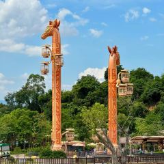 大燚果木烧鹅·明炉头牌清远鸡(山湖城店) User Photo