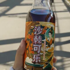 XINJIN TAO 여행 사진