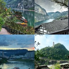 罗记酸汤鱼(凤凰路店) User Photo