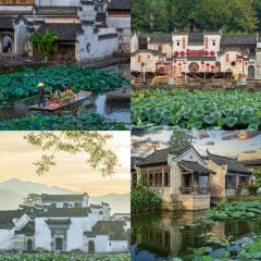 灵山酒酿 User Photo