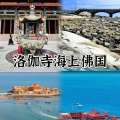 Auntie Jijia User Photo