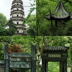 SU WAI PO User Photo