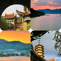 WEIDAOJIA MAMACAI User Photo