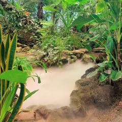 泰椰天香·江景六国料理 User Photo