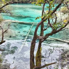 半山海·九寨秘境 Azure Veil Springs 温泉度假酒店·半山海餐厅 User Photo