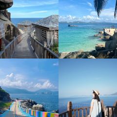 dan jia yu pai User Photo