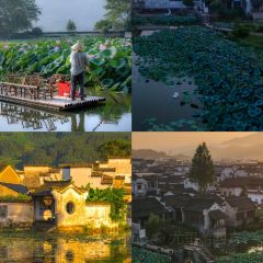 灵山酒酿 User Photo