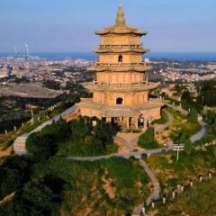 Auntie Jijia User Photo