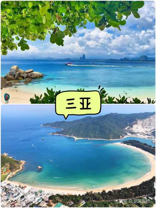 dian dou de ( xing huan dian )