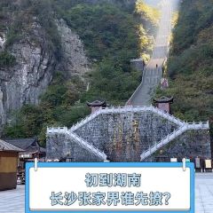 Tang you ba ba User Photo