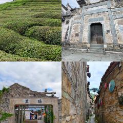 谭婆饺子粑 User Photo