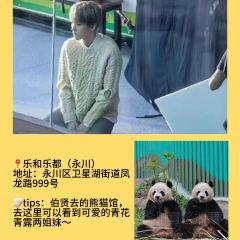 Haiguanhundouhua User Photo