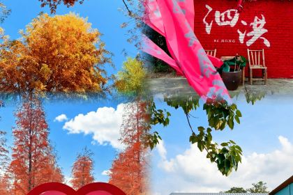 洪泽湖小鱼锅贴城(淮建路店)