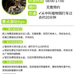 缅花小吃(白象湖店) 여행 사진