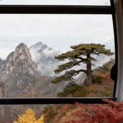 秀嫂挞粿 User Photo