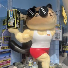 SNT&TEA 여행 사진