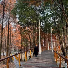 胡記包子張用戶圖片