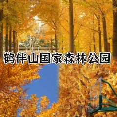 BO SHAN CAI GUAN User Photo