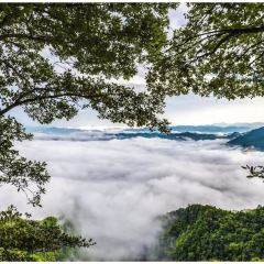 XIANG WEI CUN GU CHANG CAI User Photo