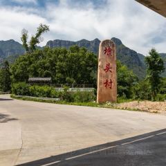 LIN SHANG REN JIA User Photo