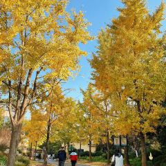 Zhengweizhaiguobacai(Xi Bei Jiao Dian ) User Photo