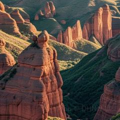 老马家羊杂碎店 User Photo