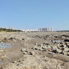 成山头裕福祥渔家乐 User Photo