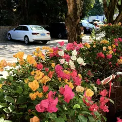 HIBISCUS RESTAURANT User Photo