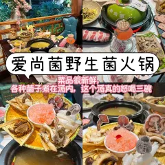 AI SHANG JUN User Photo