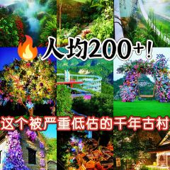 WEIDAOJIA MAMACAI User Photo