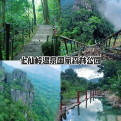 五指山亚泰雨林酒店·中餐厅 User Photo